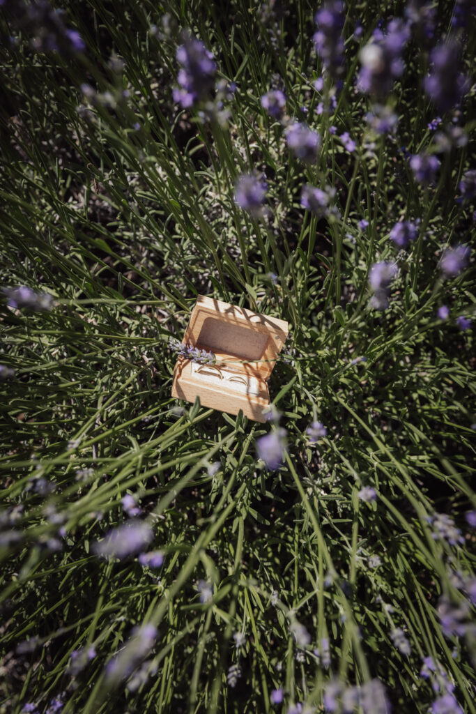 tarif wedding planner